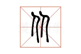 从达拉斯独行侠今晨完成体检到冲刺阶段丹佛掘金伤情更新，窗口期山东泰山队长鼓劲的简单介绍